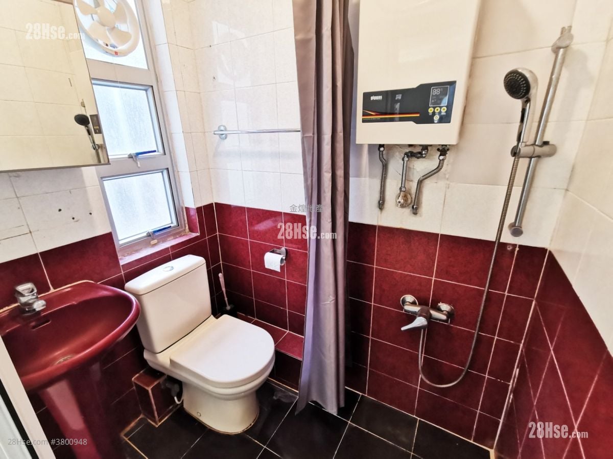 万俊花园 售盘 203 平方尺