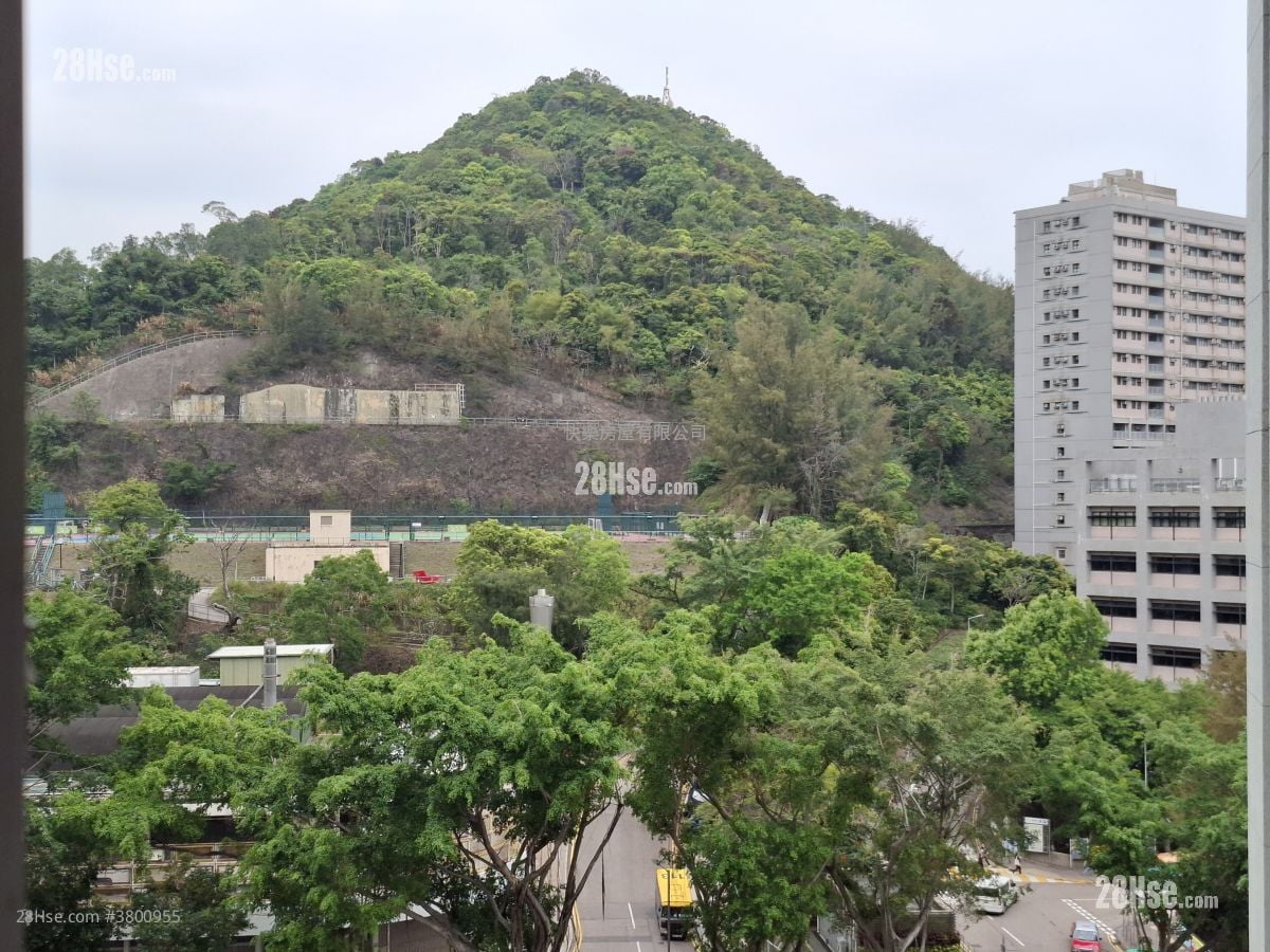 Neptune Terrace Sell 2 Bedrooms , 1 Bathroom 593 ft²