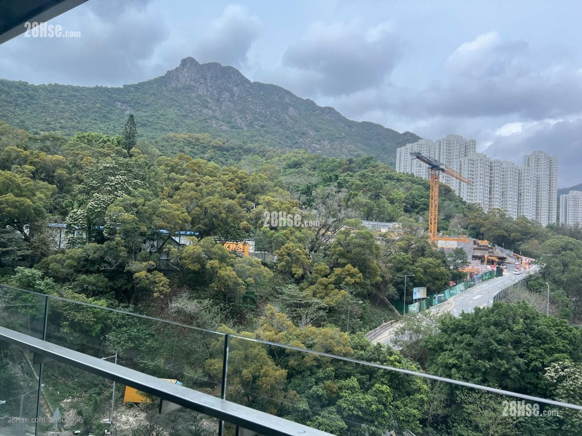 尚御 租盘 4 浴室 1,614 平方尺