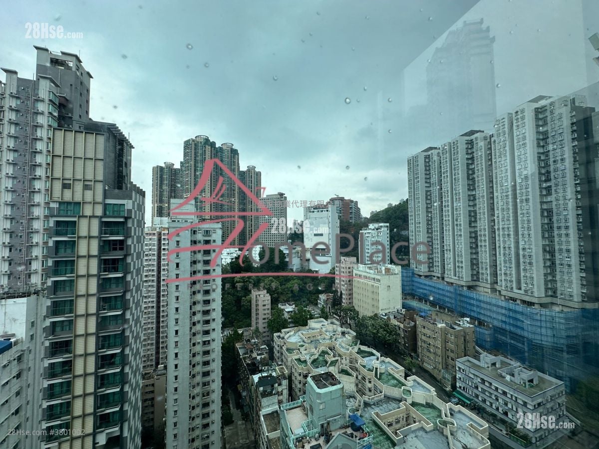 Kennedy 38 Rental 1 Bedroom , 1 Bathroom 292 ft²