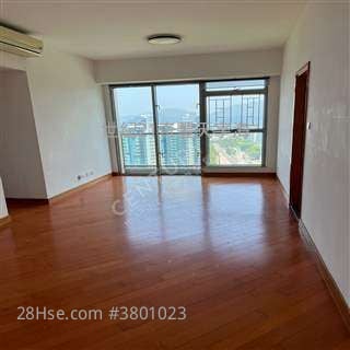 jimmy銀湖專門店>東北, 西貢海景