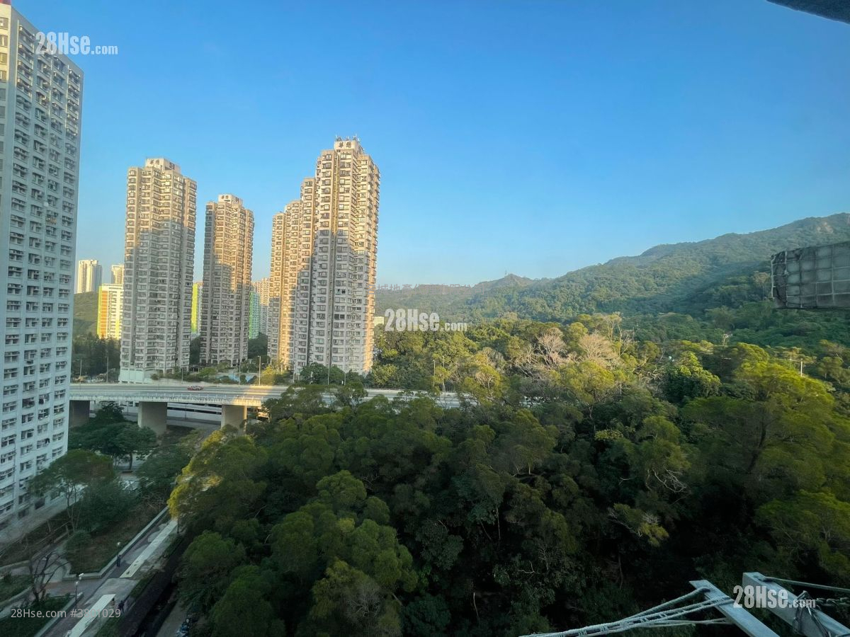 King Tin Court Sell 2 Bedrooms , 1 Bathroom 431 ft²