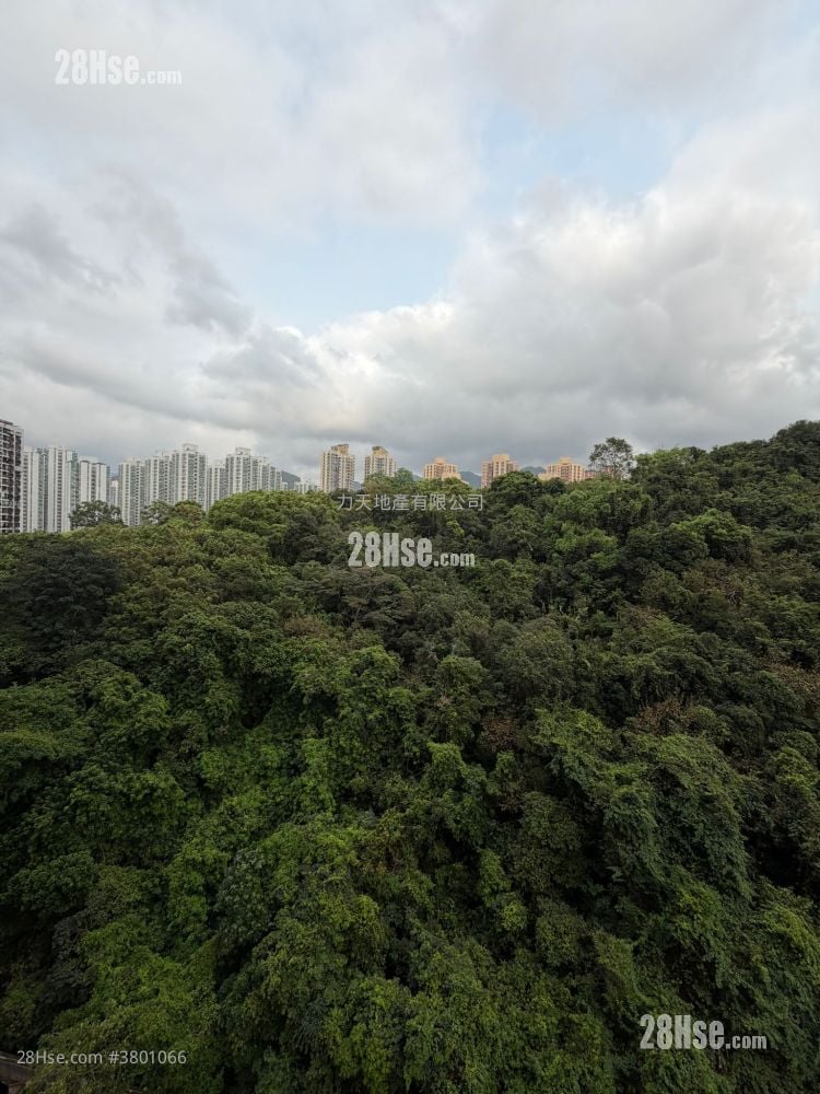 Belair Gardens Sell 3 Bedrooms , 2 Bathrooms 831 ft²