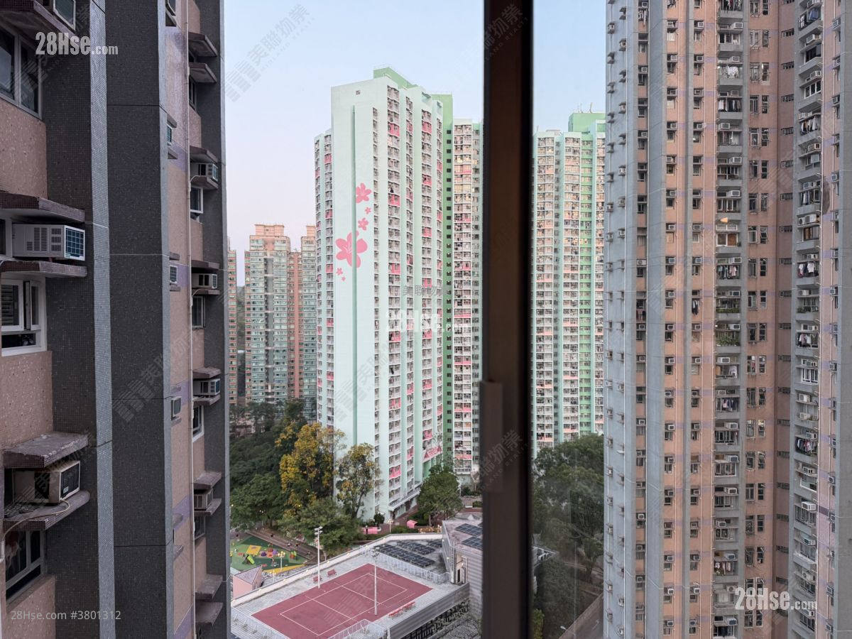 锦龙苑 售盘 3 房 , 1 浴室 554 平方尺