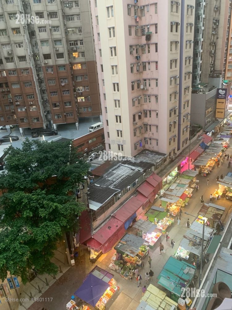 千望 售盘 开放式间隔 172 平方尺