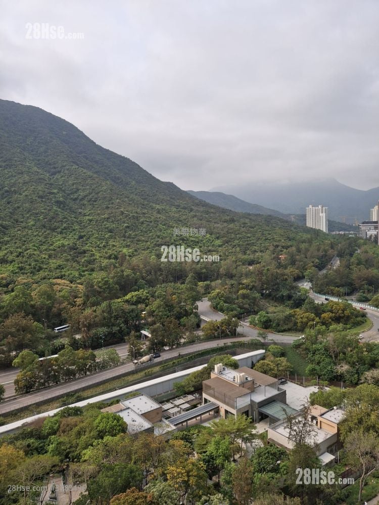 映湾园 售盘 565 平方尺