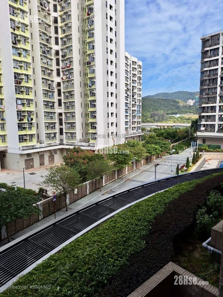 海翩滙 租盘 2 房 , 2 浴室 513 平方尺