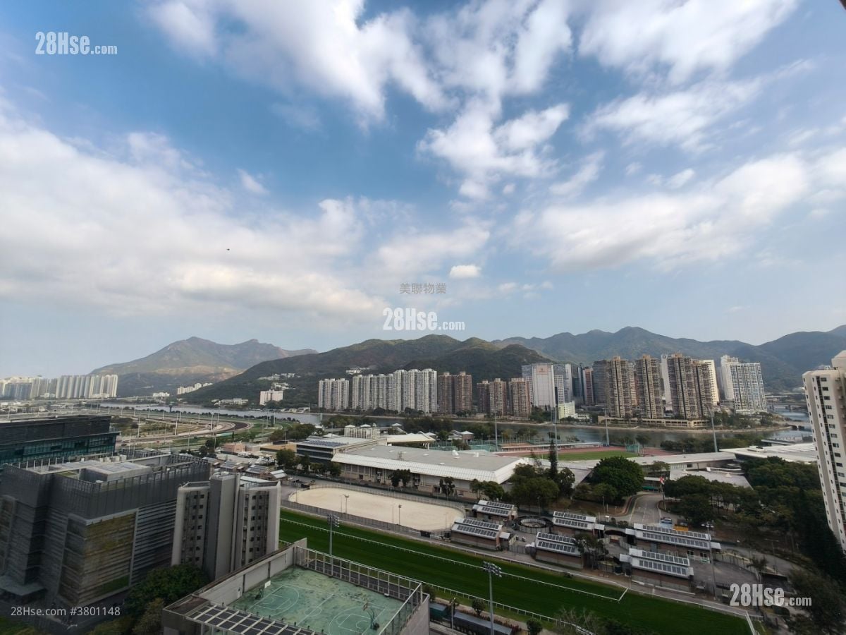 The Palazzo Rental 4 Bedrooms , 2 Bathrooms 1,116 ft²