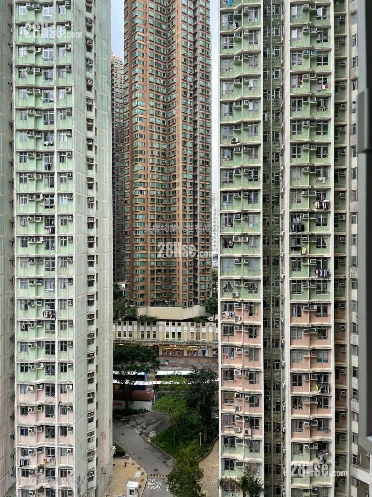 和明苑 售盘 433 平方尺