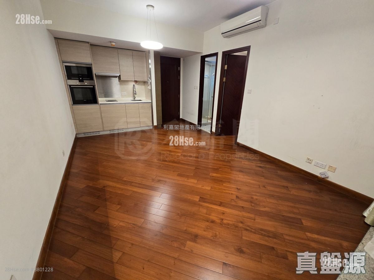 观月桦峯 售盘 1 房 457 平方尺