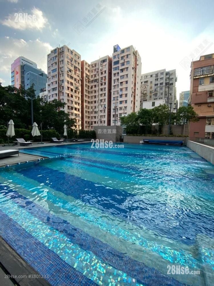 凯誉 售盘 1 房 , 1 浴室 359 平方尺