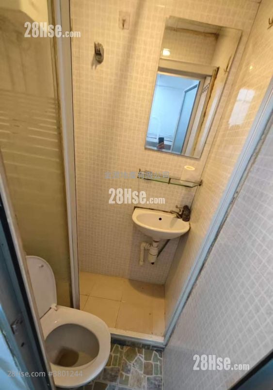 通菜街175A号 租盘 4 房 527 平方尺