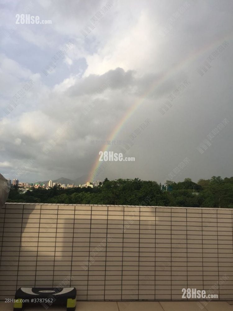 The Woodsville Sell 4 Bedrooms , 2 Bathrooms 2,439 ft²