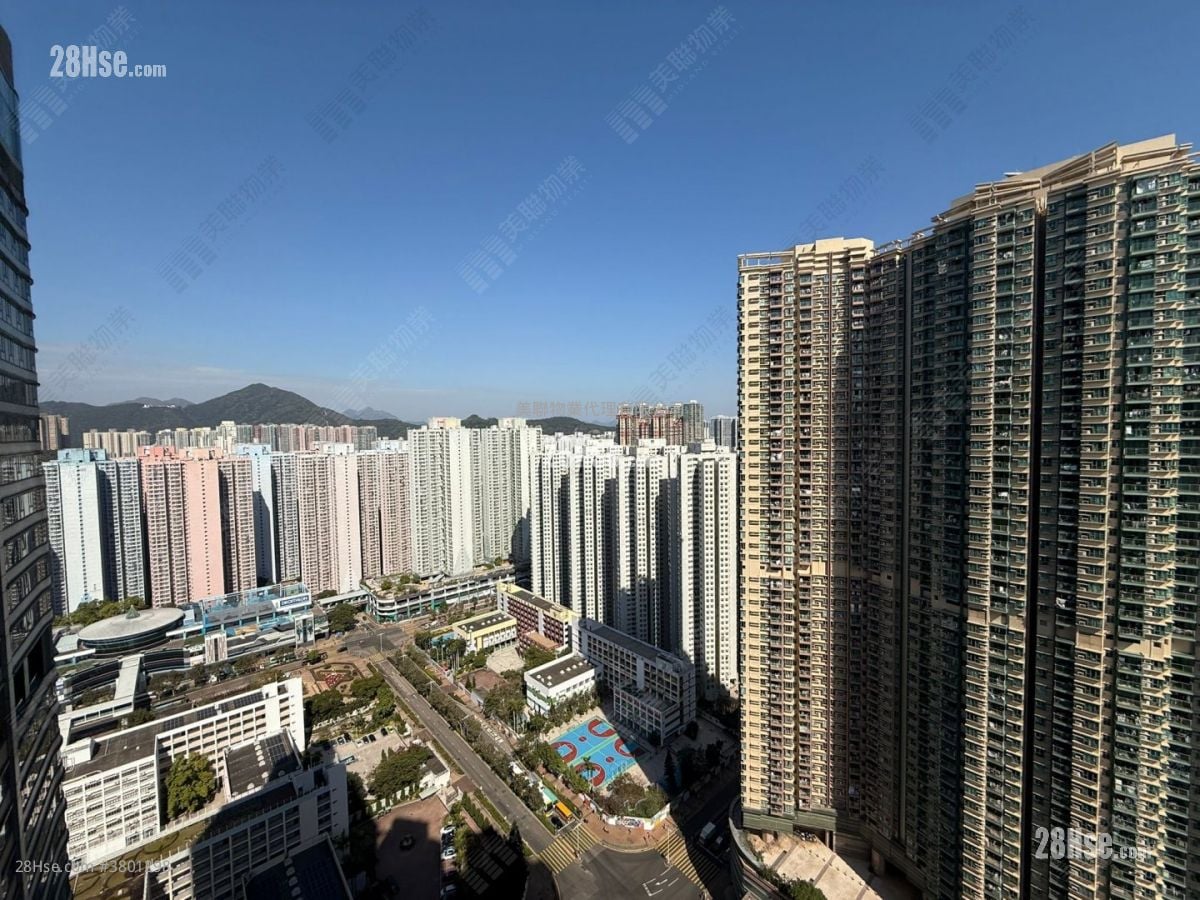 The Wings Rental 536 ft²