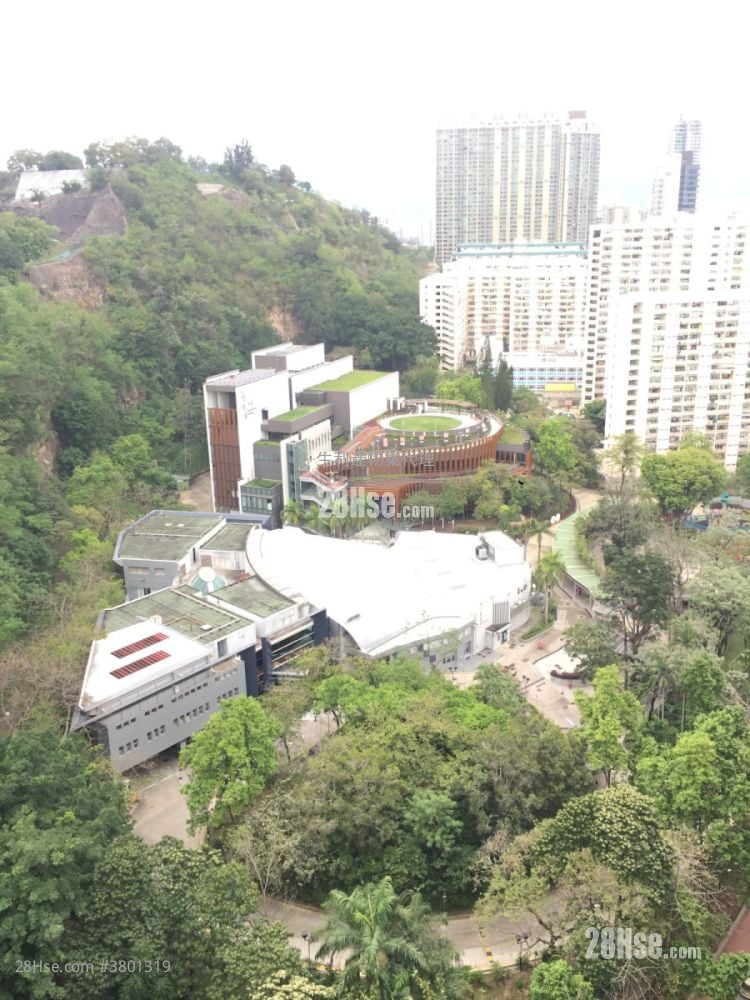 高山18 租盘 1 房 , 1 浴室 318 平方尺