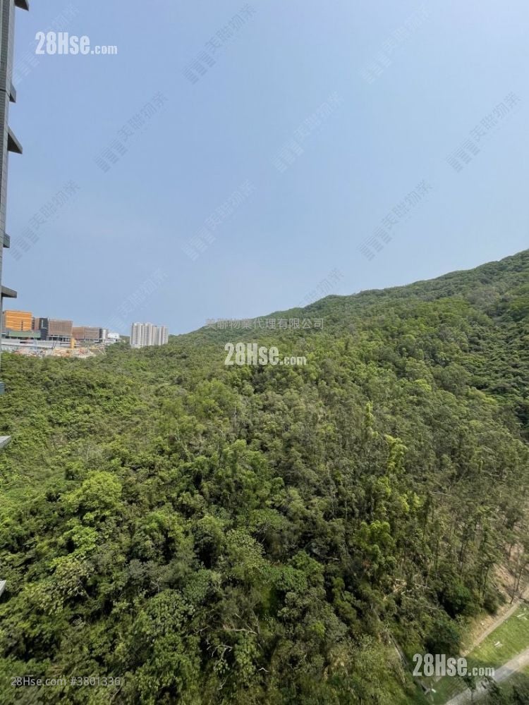 峻滢 租盘 3 房 694 平方尺