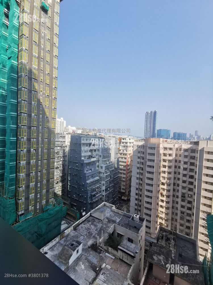 The Haddon 租盤 1 房 , 1 浴室 260 平方呎