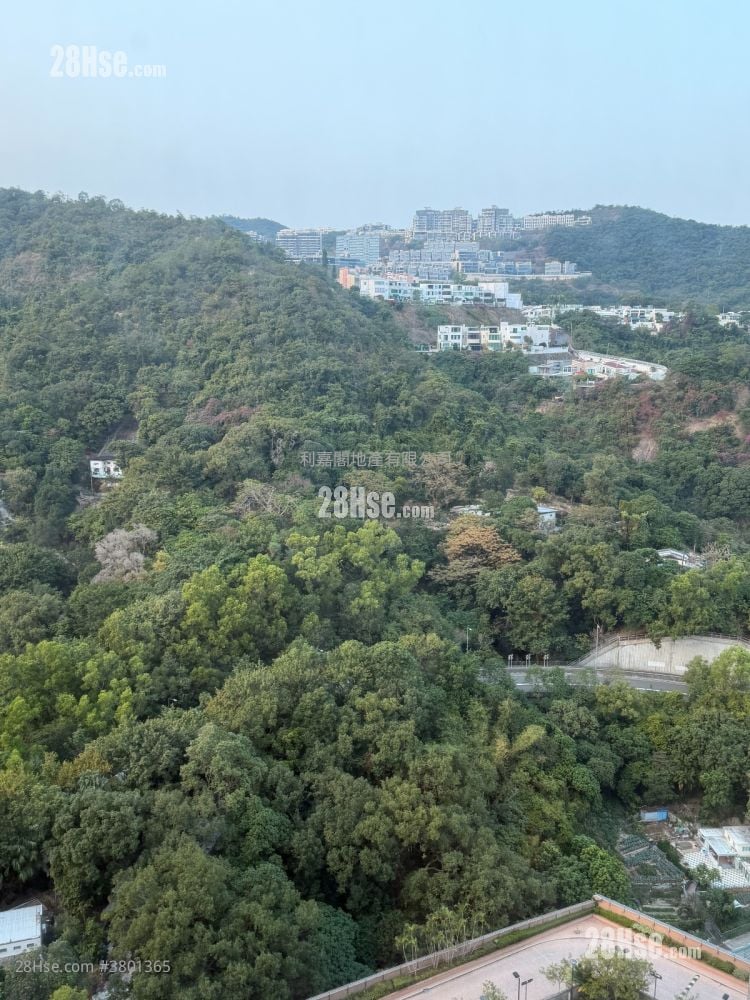 骏景园 租盘 594 平方尺