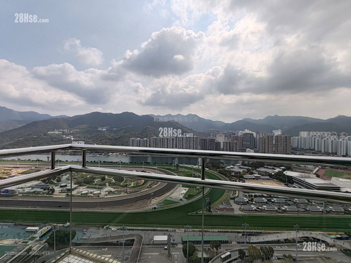 Royal Ascot Rental 4 Bedrooms , 3 Bathrooms 2,478 ft²