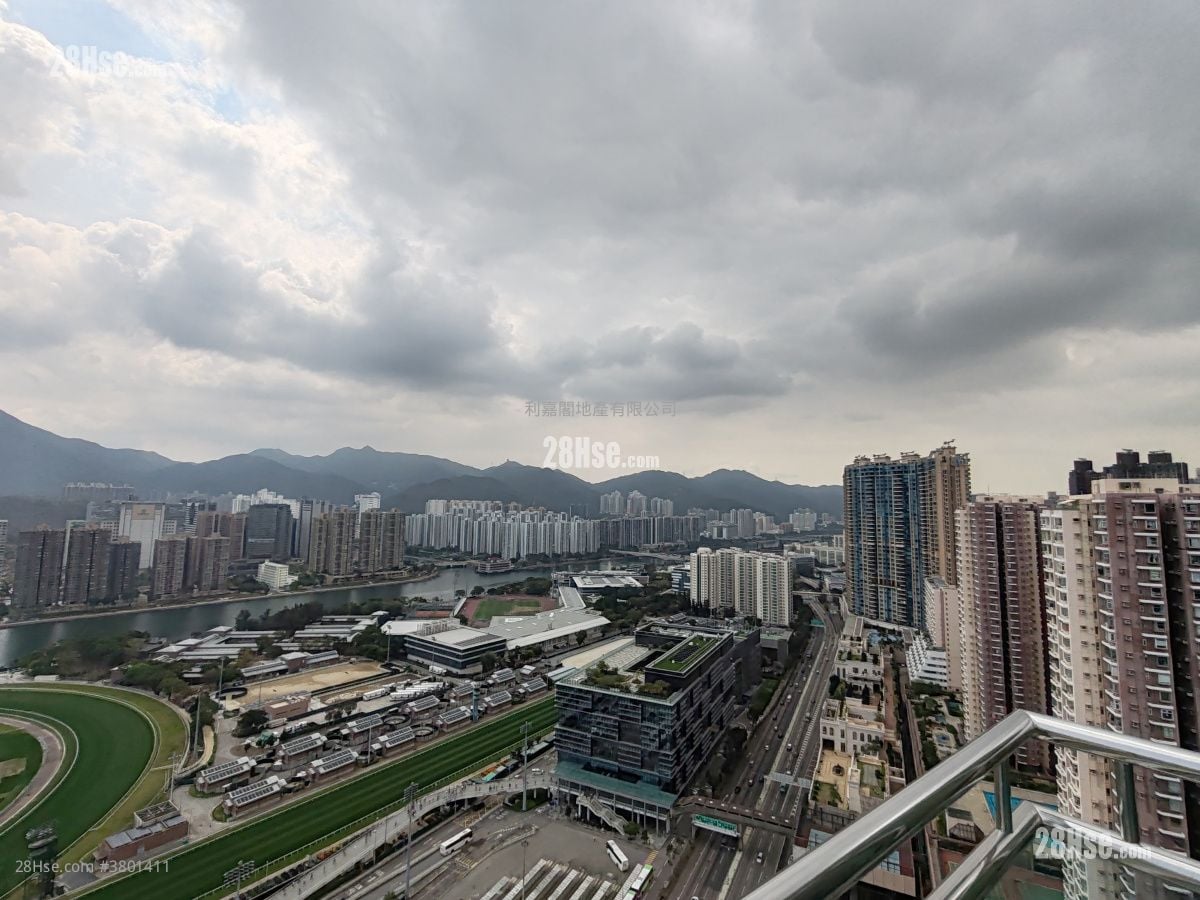 Royal Ascot Rental 4 Bedrooms , 3 Bathrooms 2,478 ft²