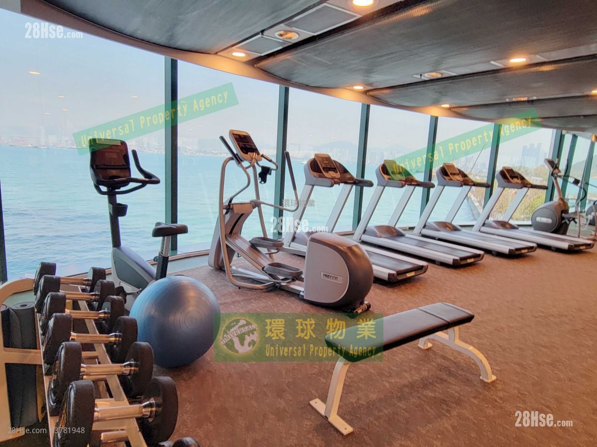 高逸华轩 租盘 1 房 , 1 浴室 521 平方尺