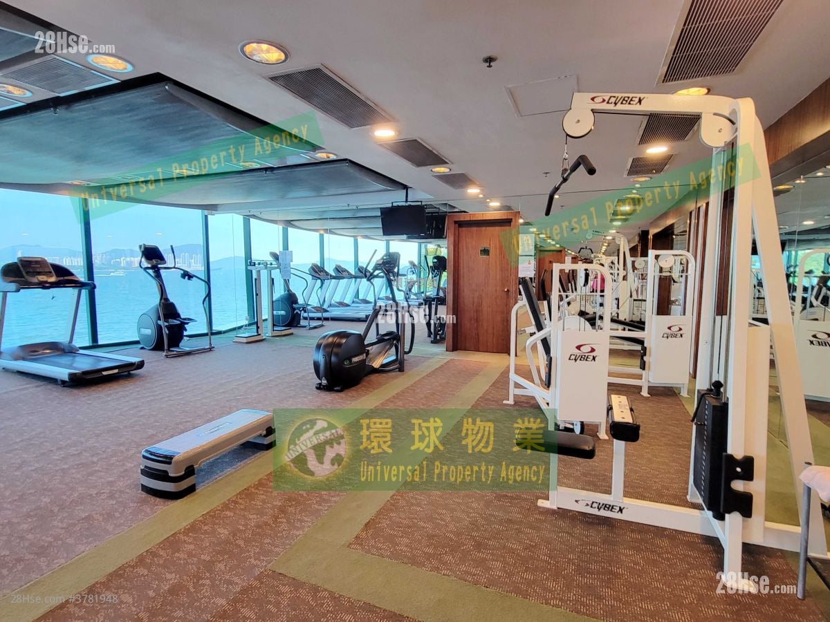 高逸华轩 租盘 1 房 , 1 浴室 521 平方尺