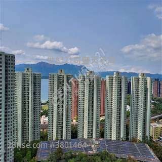 自用投資收租Jimmy 竇生63460809 呎價平 有大三房/細三房>世紀21專門店 