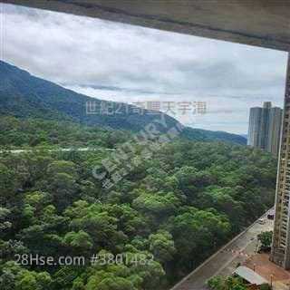 自用投资收租Jimmy 窦生63460809 尺价平 有大三房/细三房>世纪21专门店