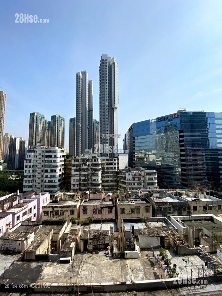 Cetus Square Mile Rental 1 Bedroom , 1 Bathroom 252 ft²