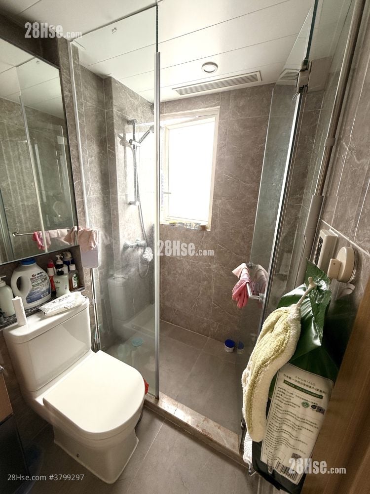 珀玥 租盘 1 房 , 1 浴室 262 平方尺