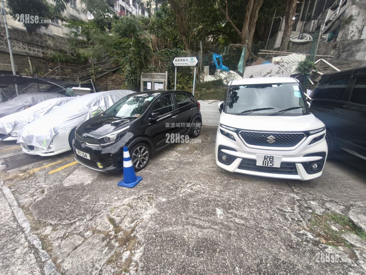 插桅杆新村 售盘 4 房 , 5+ 浴室