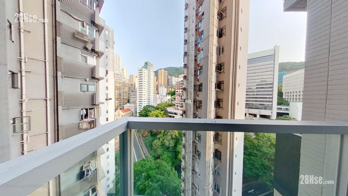 露台: The Bonham 租盘 开放式间隔 , 1 浴室 256 平方尺