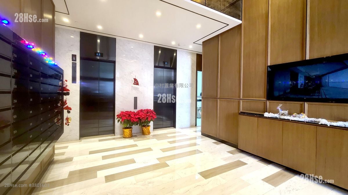 大堂: The Bonham 租盘 开放式间隔 , 1 浴室 256 平方尺