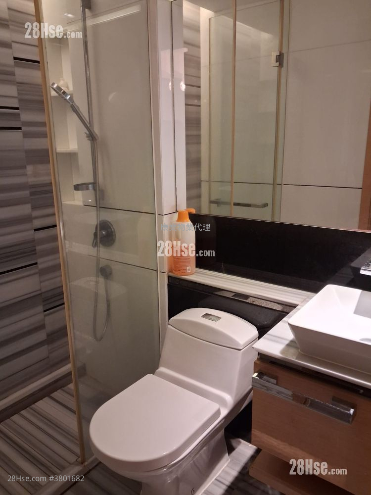 峻弦 租盘 2 房 497 平方尺