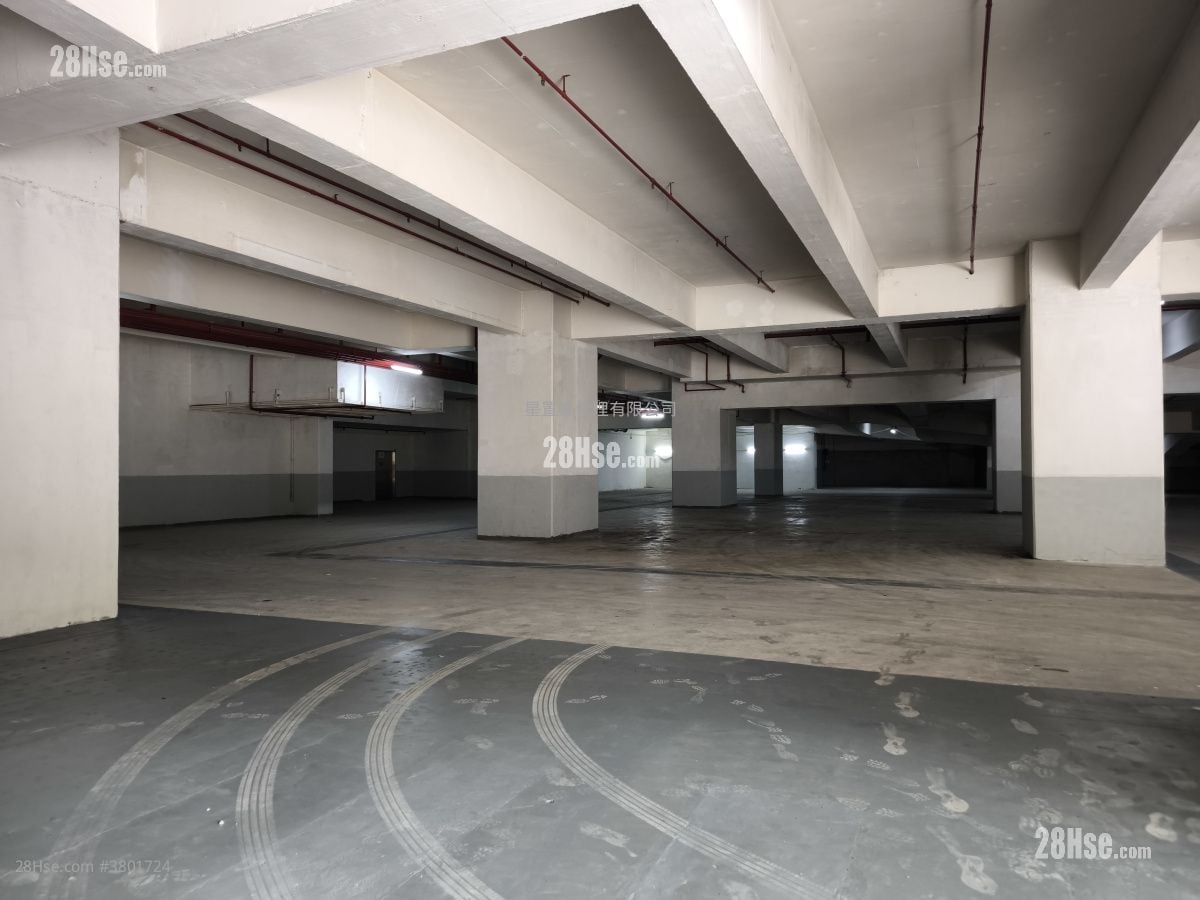 Ground Floor Factory Rental