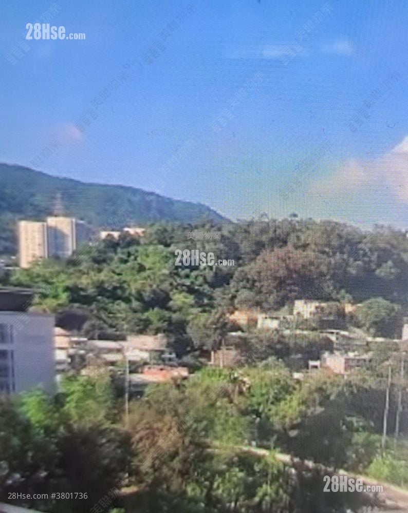 富丽花园 售盘 2 房 318 平方尺