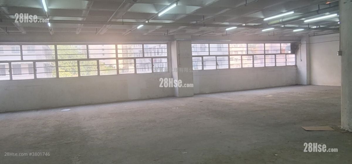 百新工业大厦 租盘