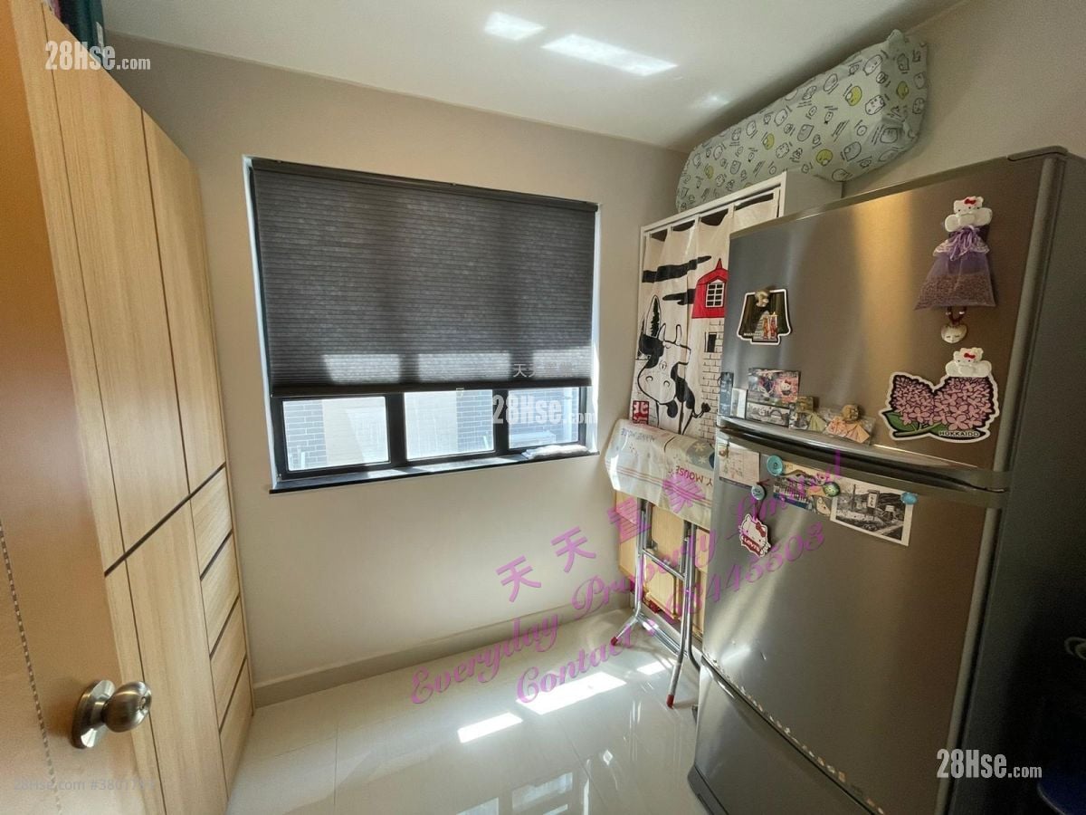 井头村 售盘 3 房 , 1 浴室 700 平方尺