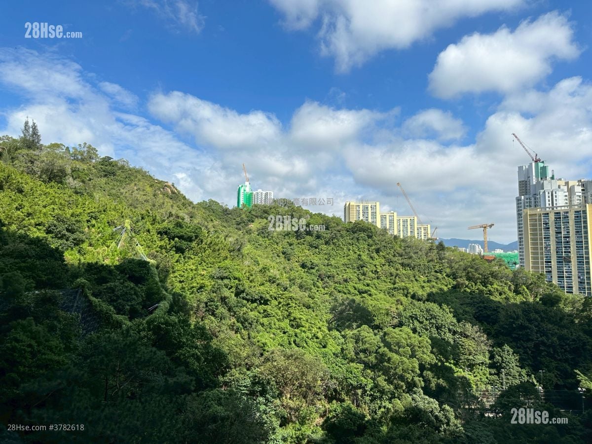 The Grand Marine Sell 1 Bedroom , 1 Bathroom 299 ft²