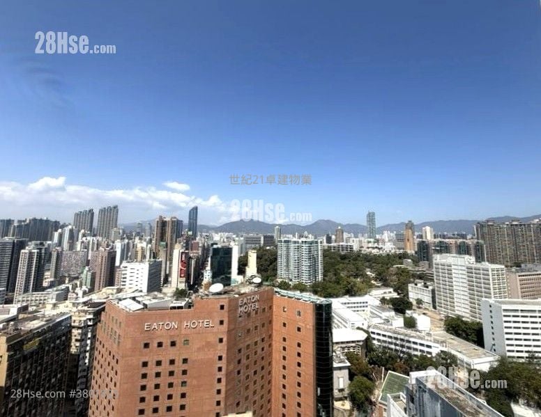 高临 租盘 1 房 , 1 浴室 272 平方尺