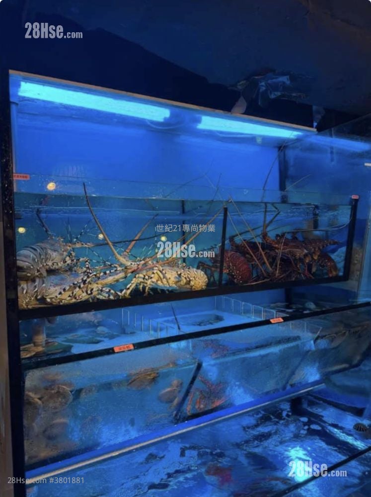 金巴利中心 租盘