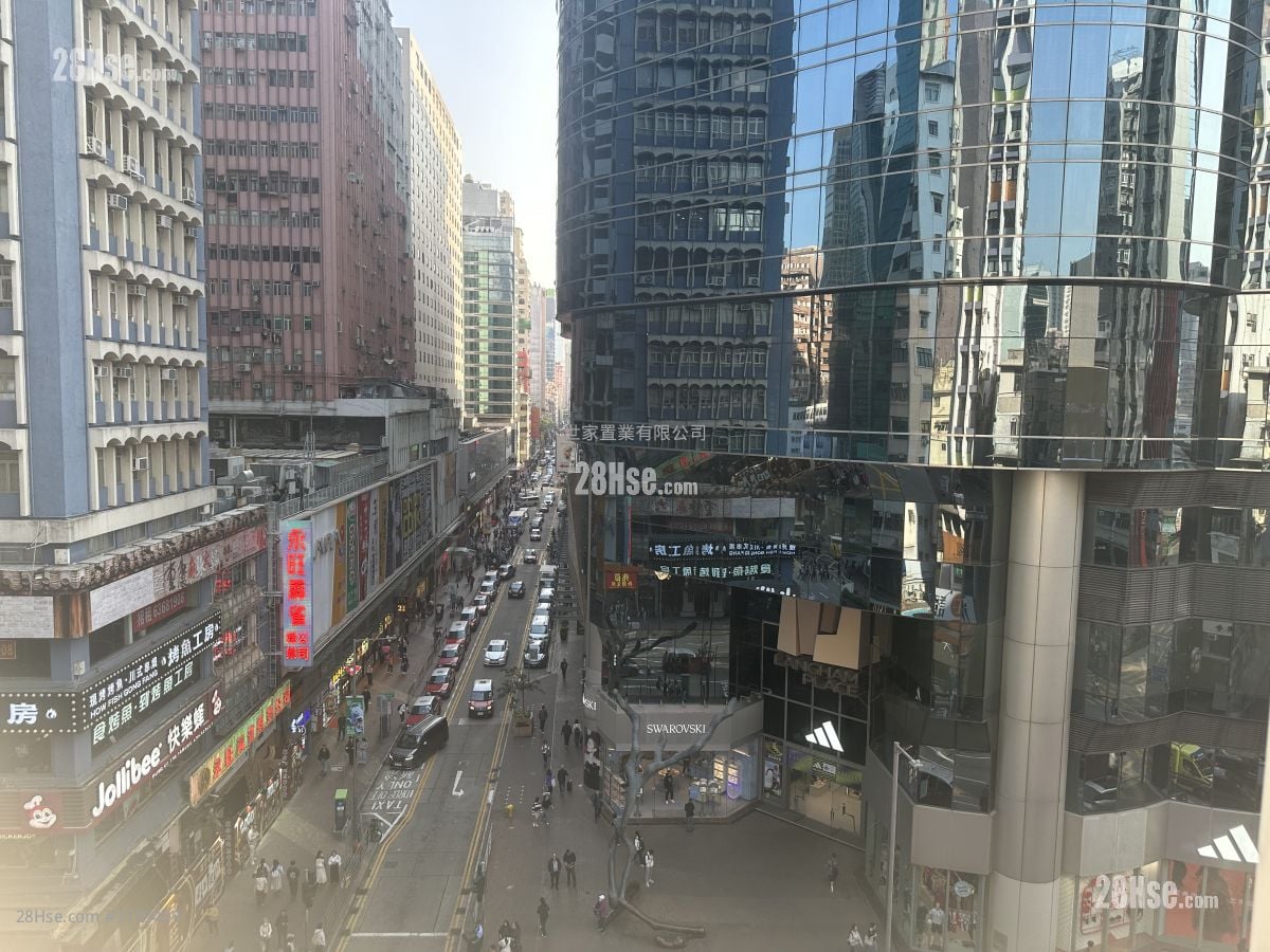 金山商业大厦 租盘