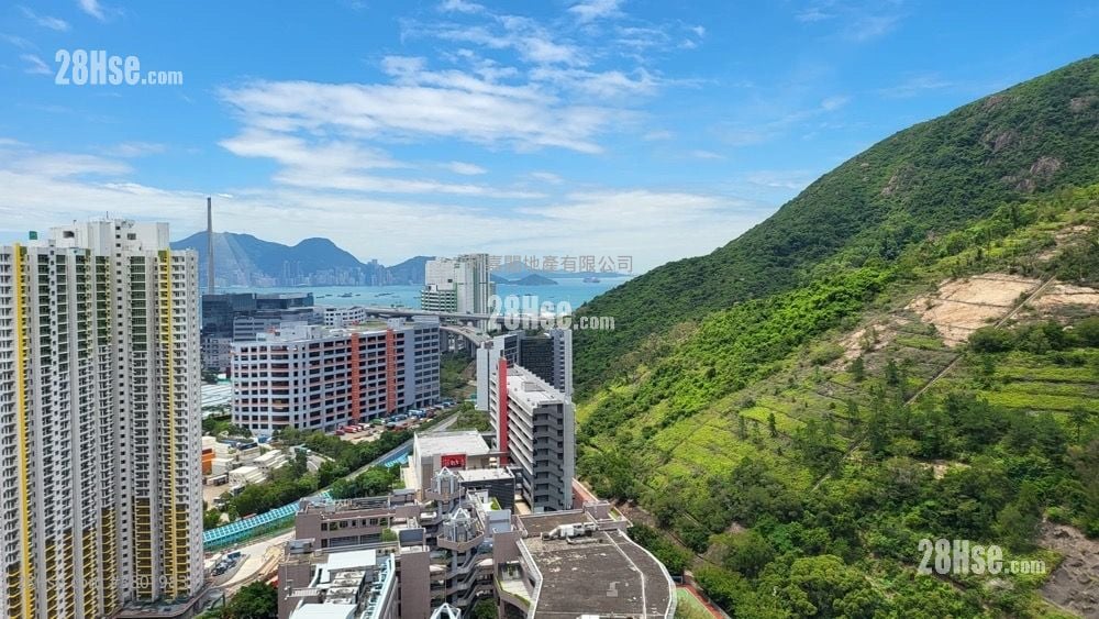 明翘汇 售盘 3 房 , 2 浴室 586 平方尺