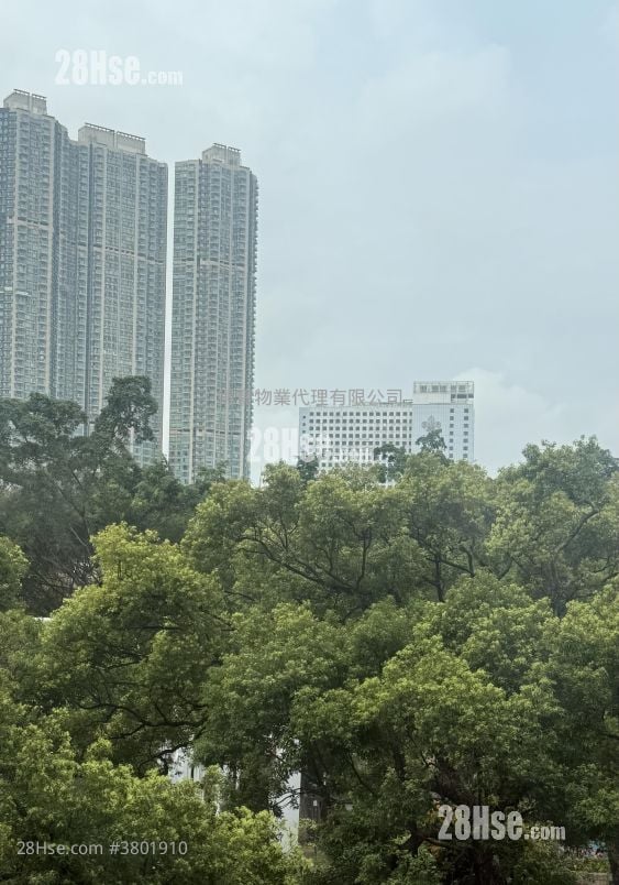 宝丰大厦 租盘 1 厕所