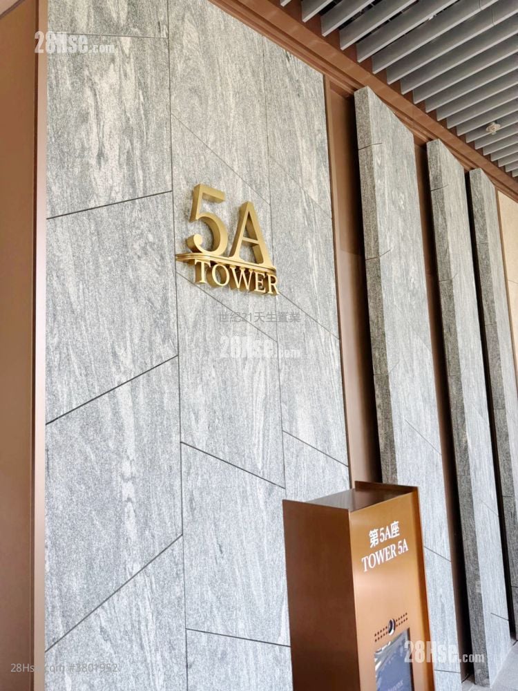 黄金海湾 租盘 301 平方尺