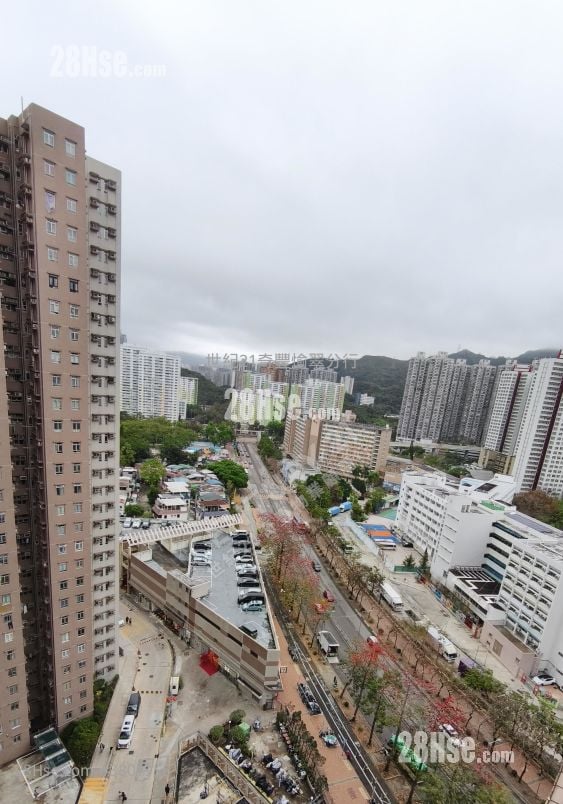 Carado Garden Sell 3 Bedrooms , 2 Bathrooms 593 ft²