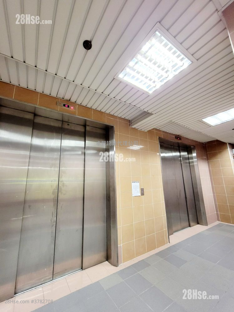 Wing Hong Centre Rental Studio 510 ft²