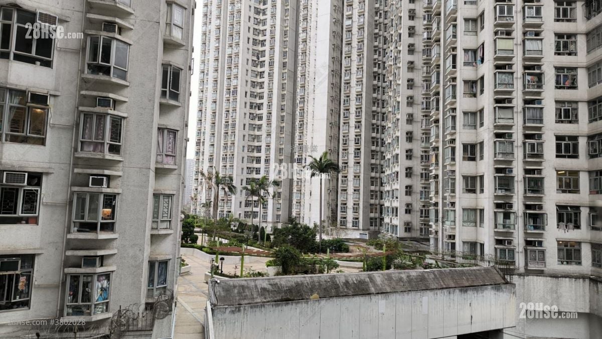 新翠花园 租盘 3 房 , 2 浴室 622 平方尺