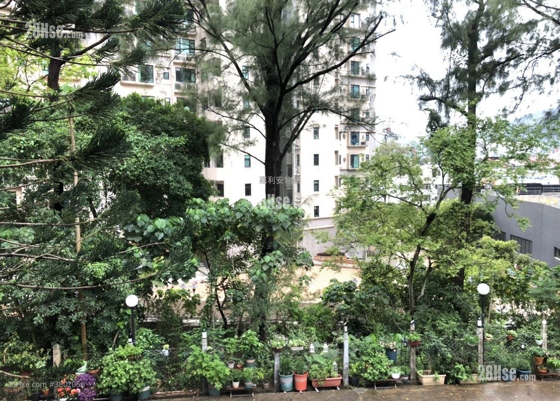 秀明别墅 租盘 3 房 , 2 浴室 1,000 平方尺