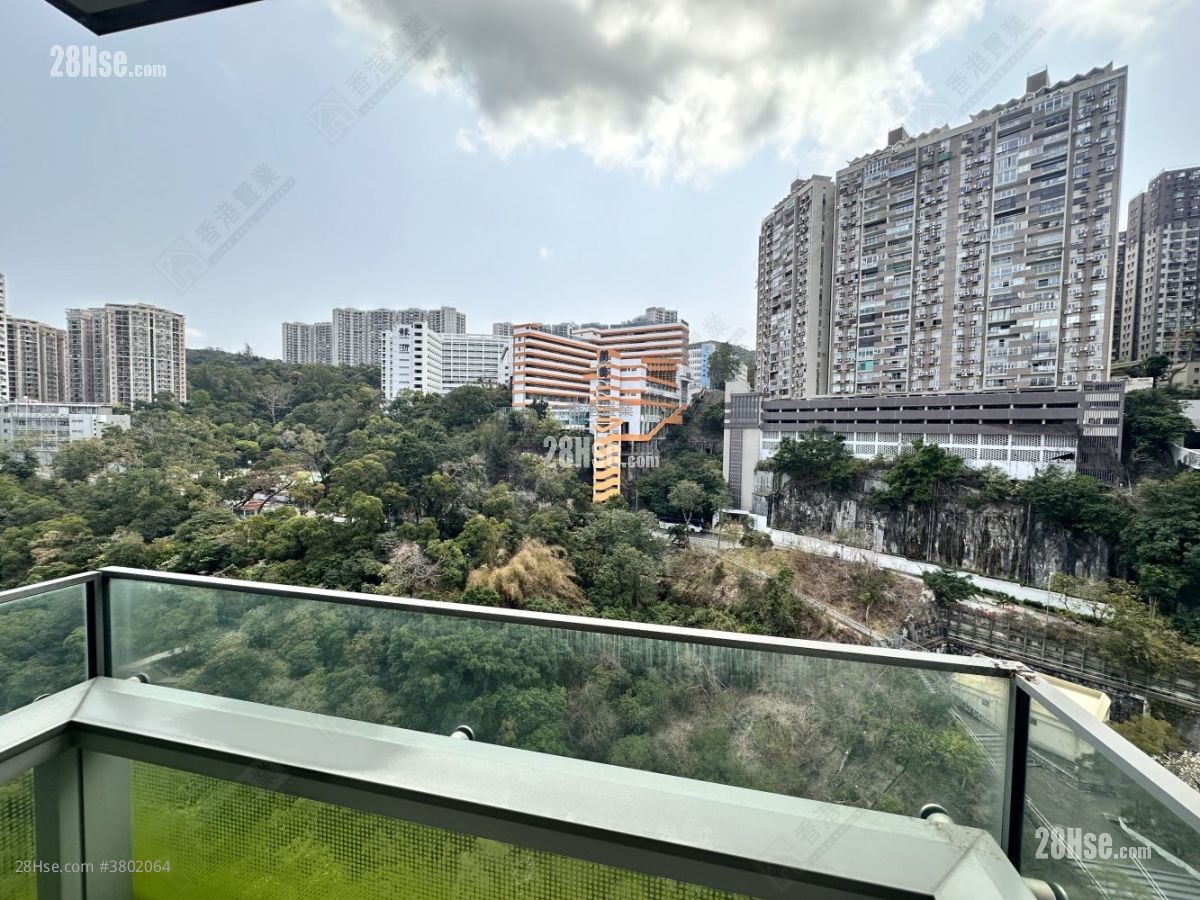 形品 租盘 1 房 , 1 浴室 363 平方尺